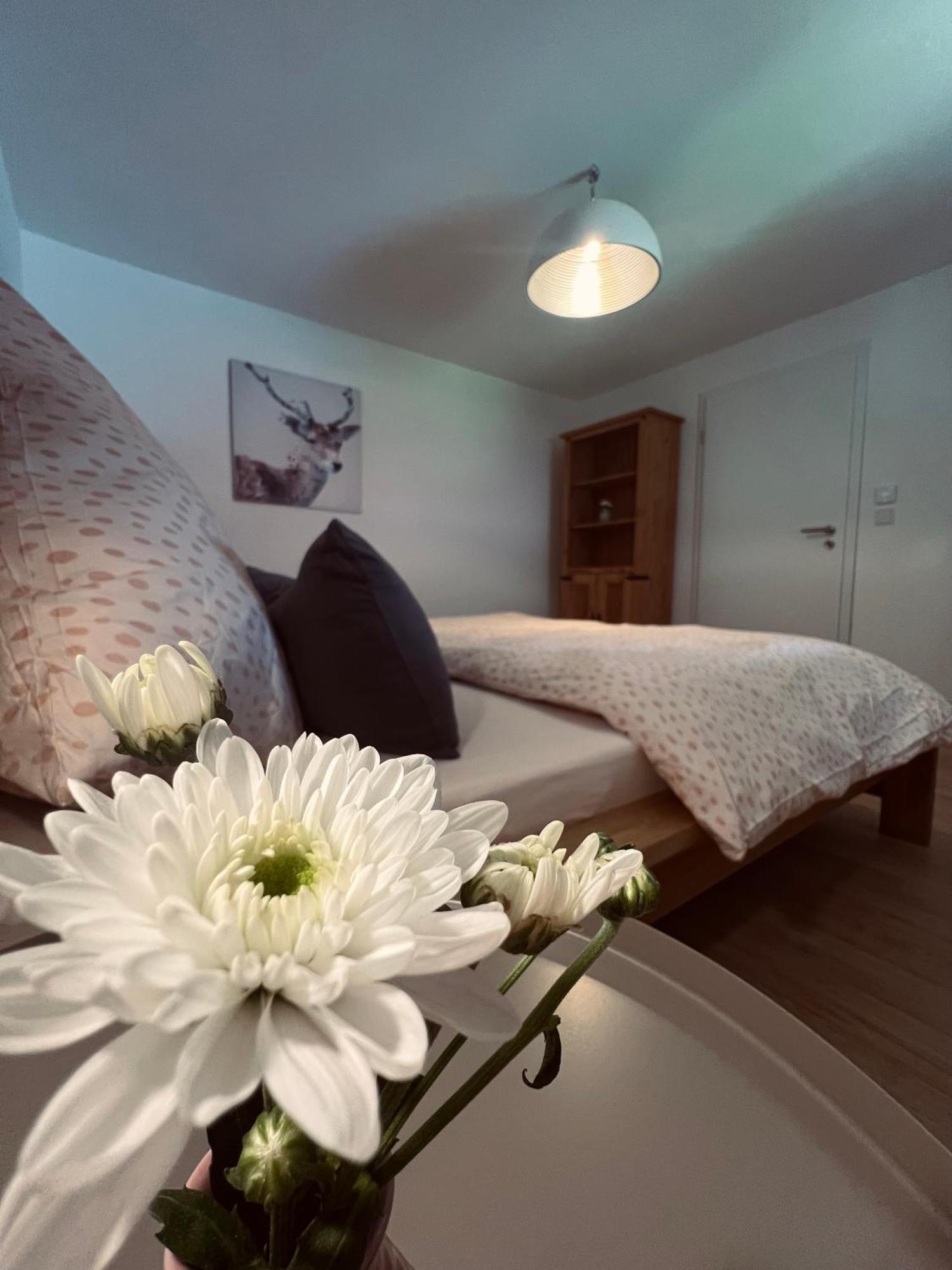 Ferienwohnung Leonie Oberau  Ngoại thất bức ảnh
